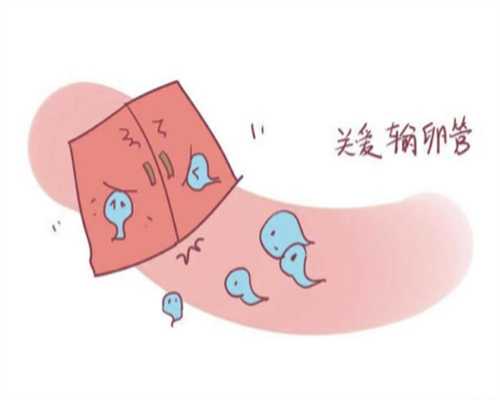 陕西男职工生育津贴2026政策解读，淮安发放时间更新别错过