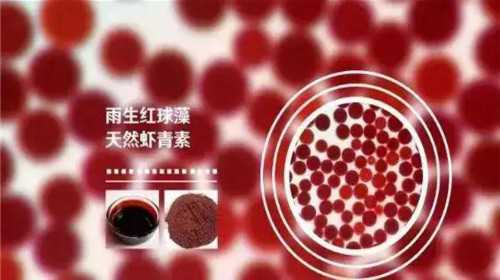 【2026实测】子宫性不孕还能自然怀上吗？南通患者常见病因与治疗指南
