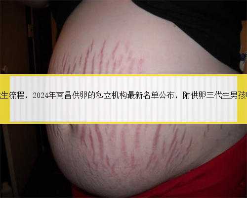 南昌做代生流程，2024年南昌供卵的私立机构最新名单公布，附供卵三代生男孩
