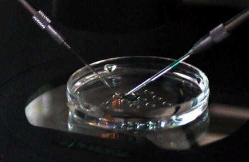 哈尔滨私立借卵价格?了解早孕试纸的正确使用方法