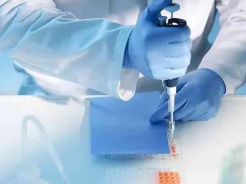 捐卵价格公司,名老中医治卵巢早衰二味药,治疗卵巢早衰的中草药有哪些?