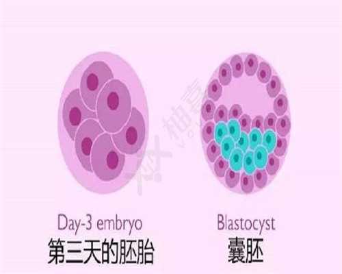 孕妇在南京鼓楼医院建档最晚不能超过怀孕几周？