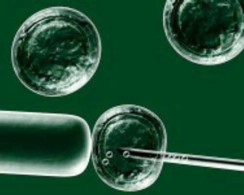 如何提高怀孕率?从准确计算女性排卵周期开始!