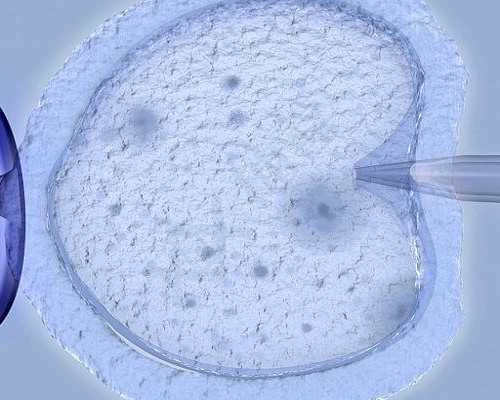 试管能代孕吗,宜昌哪家医院做三代试管婴儿成功率较高！附试管费用预估！