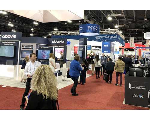 子宫肌瘤类型大解析:哪种类型更需要关注与治疗?