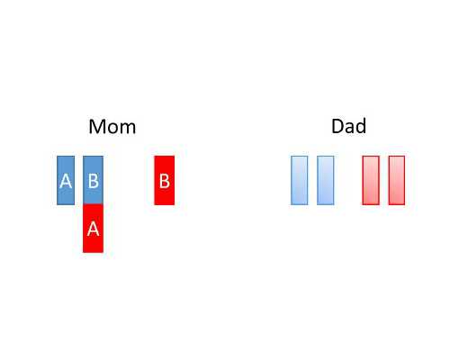 产恢复与同房的科学指导