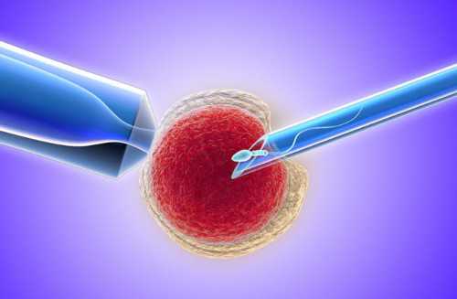 2026南京支持试管的私人医院介绍，这几家很推荐