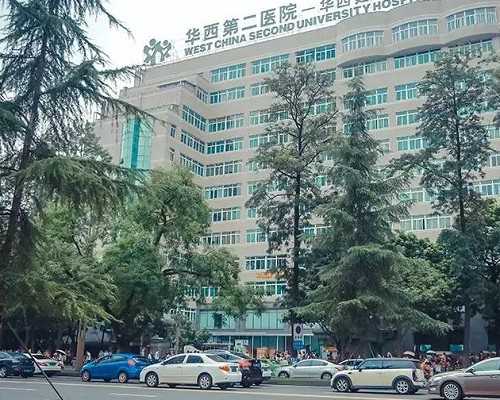 为什么甲亢或者甲减会影响生育能力