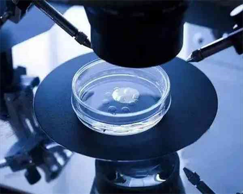 南昌好的代生机构，2026年南昌供卵的私立机构最新名单公布，附供卵三代生男