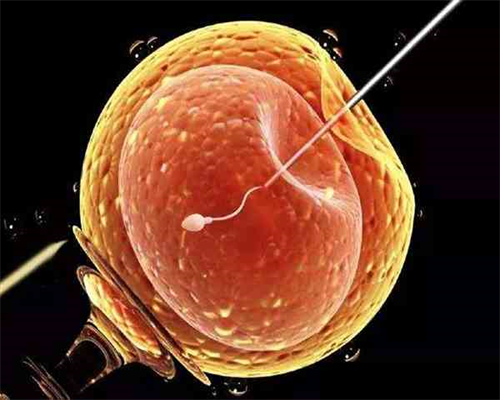 预防月经不调的关键六大因素及其应对措施