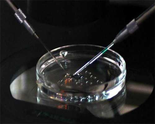 供卵试管婴儿的注意事项:四大关键点需关注