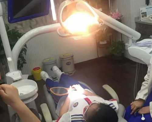 探索宝宝6个月辅食的多样化美味