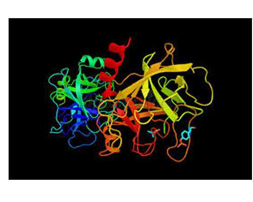 南京军区总院三代试管婴儿费用公开,三代试管生子多少钱马上知!