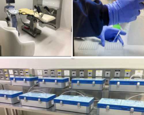 移植失败第四天还没有来月经怎么回事儿啊