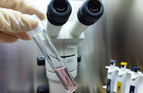 淮安借卵生子试管助孕费用详细剖析！2026申请淮安供卵试管需要准备多少钱