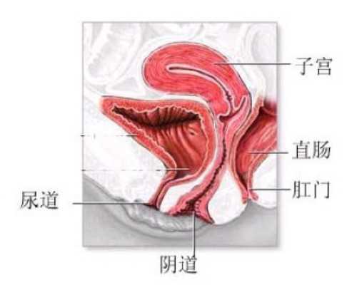 淮安不用排队等合法公立借卵试管中心在哪里？