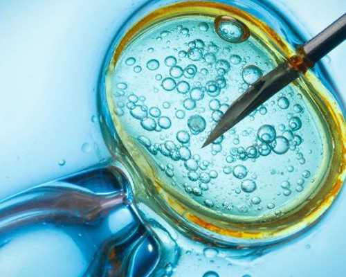 染色体平衡易位备孕有2种方法，自怀生孩子成功并不多