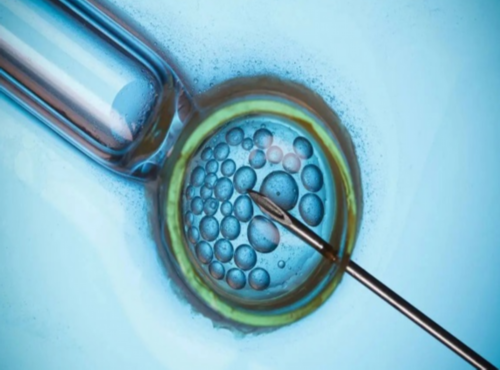 代孕费用多少,天津三代试管婴儿哪里比较好?要少一些吗?